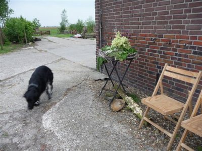 zomerfair 2010 020.jpg